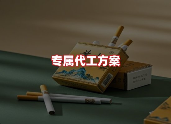 专业团队